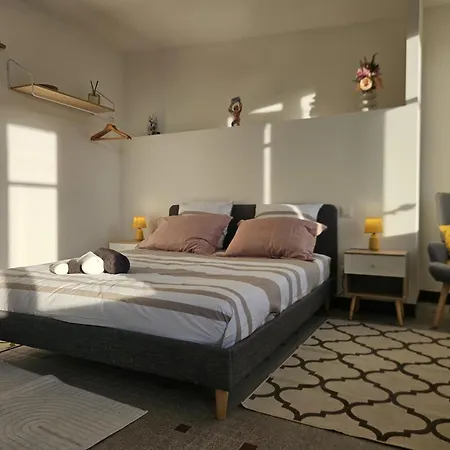 Konukevi Vue Cite Medievale Castel View Carcassonne