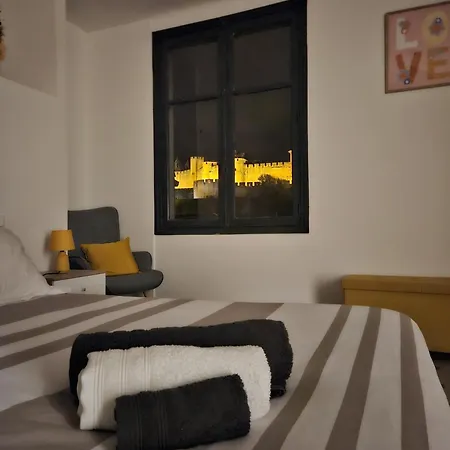 Vue Cite Medievale Castel View Guest house Carcassonne