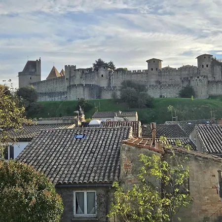 Vue Cite Medievale Castel View * Carcassonne