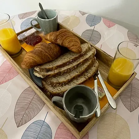 Konukevi Vue Cite Medievale Castel View Carcassonne